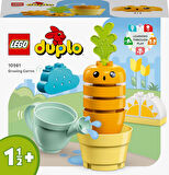 Lego Duplo İlk Büyüyen Havucum 10981-18 Ay Ve Üzeri Küçük Çocuklar İçin Eğitici Oyuncak Yapım Seti (