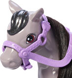 Barbie Chelsea™ Bebek Ve Midilli, 3Y+, Htk29