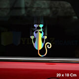 Tırmalayan Kedi Hologram Oto Sticker 20 x 10 cm