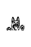 Tatlı Köpek Sticker (Oto-Motor-Laptop-Duvar-Dekor) 10 x 8 cm