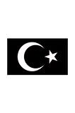 Türk Bayrağı Sticker (Oto-Motor-Laptop-Duvar-Dekor) 30 x 18 cm