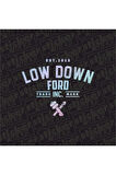 Low Down Ford Arka Cam Hologram Sticker 40 x 31 cm