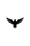 Kartal Sticker Duvar Dekor Sticker 40 x 60 cm