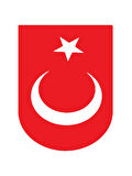 Türk Bayrağı 3 Duvar Dekor Sticker Kırmızı 40 x 80 cm