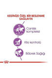 Fhn Sterilised 37 Kısırlaştırılmış Kedi Maması 4 Kg