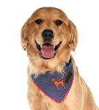 Köpek Bandana / Nysa