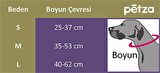 Köpek Boyun Tasması Hi Dream Mountainstamp