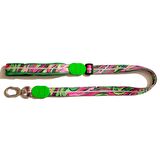 Köpek Gezdirme Tasması Hi Dream Aurora Series Neon