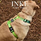 Köpek Göğüs Tasması Inke