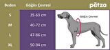 Köpek Göğüs Tasması Finwe Bej