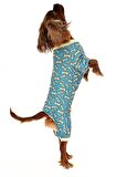 Küçük ve Orta Irk Köpek Pijama Tulum - Bones - Köpek Kıyafeti