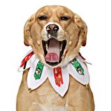 Köpek Lastikli Yılbaşı Yakalık Hula