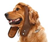Küçük Orta ve Büyük Irk Köpek Şapka Pilot Kahve