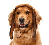 Küçük Orta ve Büyük Irk Köpek Şapka Pilot Kahve