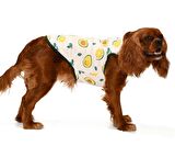Küçük ve Orta Irk Köpek T-shirt Kaj