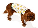 Küçük ve Orta Irk Köpek T-shirt Kaj