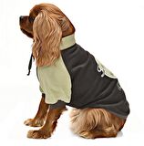 Küçük ve Orta Irk Köpek Sweatshirt - Ramora - Köpek Kıyafeti