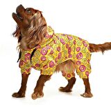 Küçük ve Orta Irk Köpek Paçalı Mont Bicorn