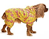 Küçük ve Orta Irk Köpek Paçalı Mont Bicorn