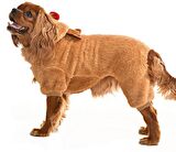 Küçük ve Orta Irk Köpek Pijama Polar Tulum - Rubi - Köpek Kıyafeti