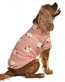 Küçük ve Orta Irk Köpek  Sweater - Mono