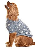 Küçük ve Orta Irk Köpek Sweater - Grube
