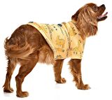 Küçük ve Orta Irk Köpek Sweater - Kindia
