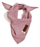 Köpek Bandana / Anet