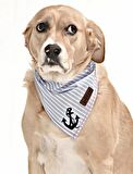 Köpek Bandana / Brina