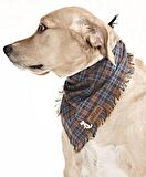 Köpek Bandana / Folle