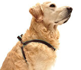 Orta ve Büyük Irk Köpekler için Göğüs Tasması Coral