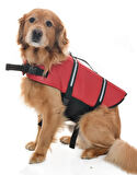 Köpek Can Yeleği Hibo