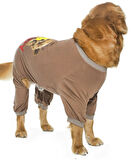 Orta ve Büyük Irk Penye Tulum Zabro