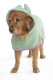 Mikrofiber Köpek Bornoz PupFrog Küçük Orta ve Büyük Irk Köpekler için