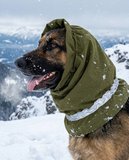 Köpek Kulak Koruyucu Su Geçirmez Şapka Calmora