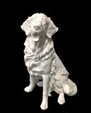 Golden Köpek  
