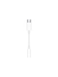 Samsung Type-C to 3.5 mm Jack Dönüştürücü Adaptör
