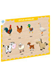Kız Erkek Çocuk Oyuncak CAAHS-3211 CA GAMES AHŞAP ÇİFTLİK HAYVANLARI BUL-TAK Kız Erkek Çocuk Oyuncak