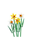 Kız Erkek Çocuk Oyuncak 40747 LEGO® iconic Botanical Collection Nergis 247 parça +8 yaş Kız Erkek Ço