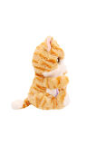 BAW05000 Baby Paws Sesli Kedi 20cm Peluş Kız Erkek Çocuk Oyuncak Eğitici Oyuncaklar