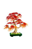 10348 iconic Japon Akçaağaç Bonsai Ağacı 474 parça +18 yaş Kız Erkek Çocuk Oyuncak Öğretici Oyun