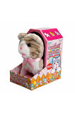 Sunman Jamina Sevimli Peluş Kedicik - S00047240 Kız Erkek Çocuk Oyuncak Eğitici Oyuncaklar