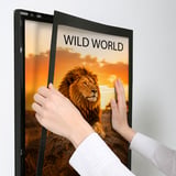 Magneco Ledbox Tek Taraflı Işıklı Çerçeve A3