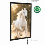 Magneco Ledbox Tek Taraflı İşıklı Çerçeve B1
