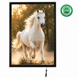 Magneco Ledbox Tek Taraflı İşıklı Çerçeve B1