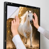 Magneco Ledbox Tek Taraflı İşıklı Çerçeve B1