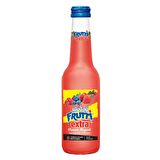Uludağ Frutti Extra Orman Meyveli 250 Ml X 24 Adet