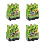 Uludağ Frutti Extra Yeşil Limonlu 250 Ml X 24 Adet