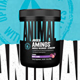 UNİVERSAL ANİMAL Juiced Aminos Bcaa + Recovery