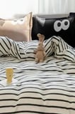 Kolay Ütülenir Nevresim Takımı Tek Kişilik Funny Kahve
